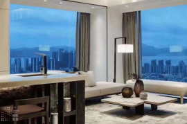 深圳中泰印邸，首期5万(减)，香港银行按揭，最新价单