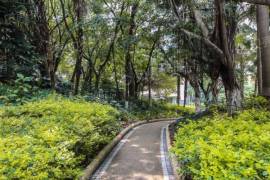 翠海花園|香蜜公園旁大社區，寬景客廳標準大四房，紅本滿五