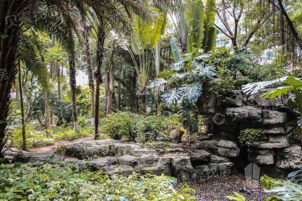 翠海花園|香蜜公園旁，東南向海景中空復式，誠心出售