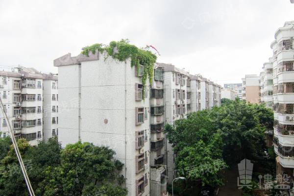 深圳紫薇花園|地鐵大三房|一梯二戶，正南朝向，采光視野開闊